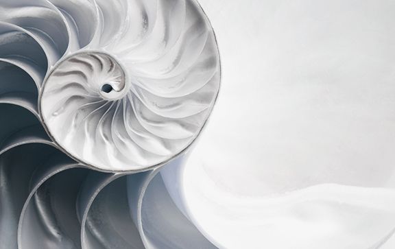 your ultimate guide to purchasing a practice.