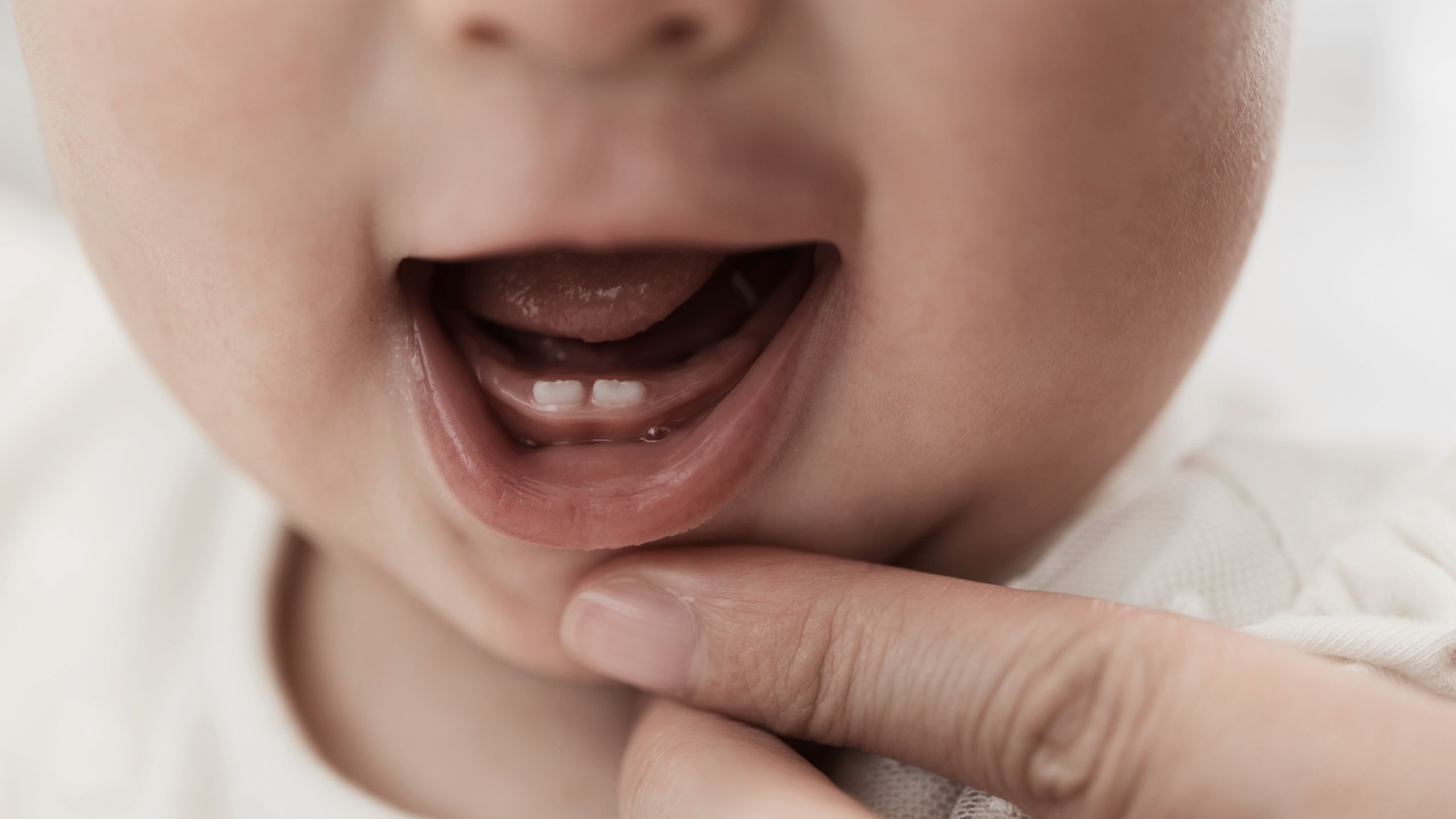 yellow, black, green, and orange digital wallpaper