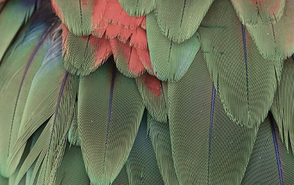 yellow, black, green, and orange digital wallpaper