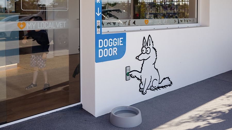 The front door of My Local Vet practice. There is a glass door on the left hand side and a drawing of a dog pushing a button for a 'doggie door' on the wall to the right.