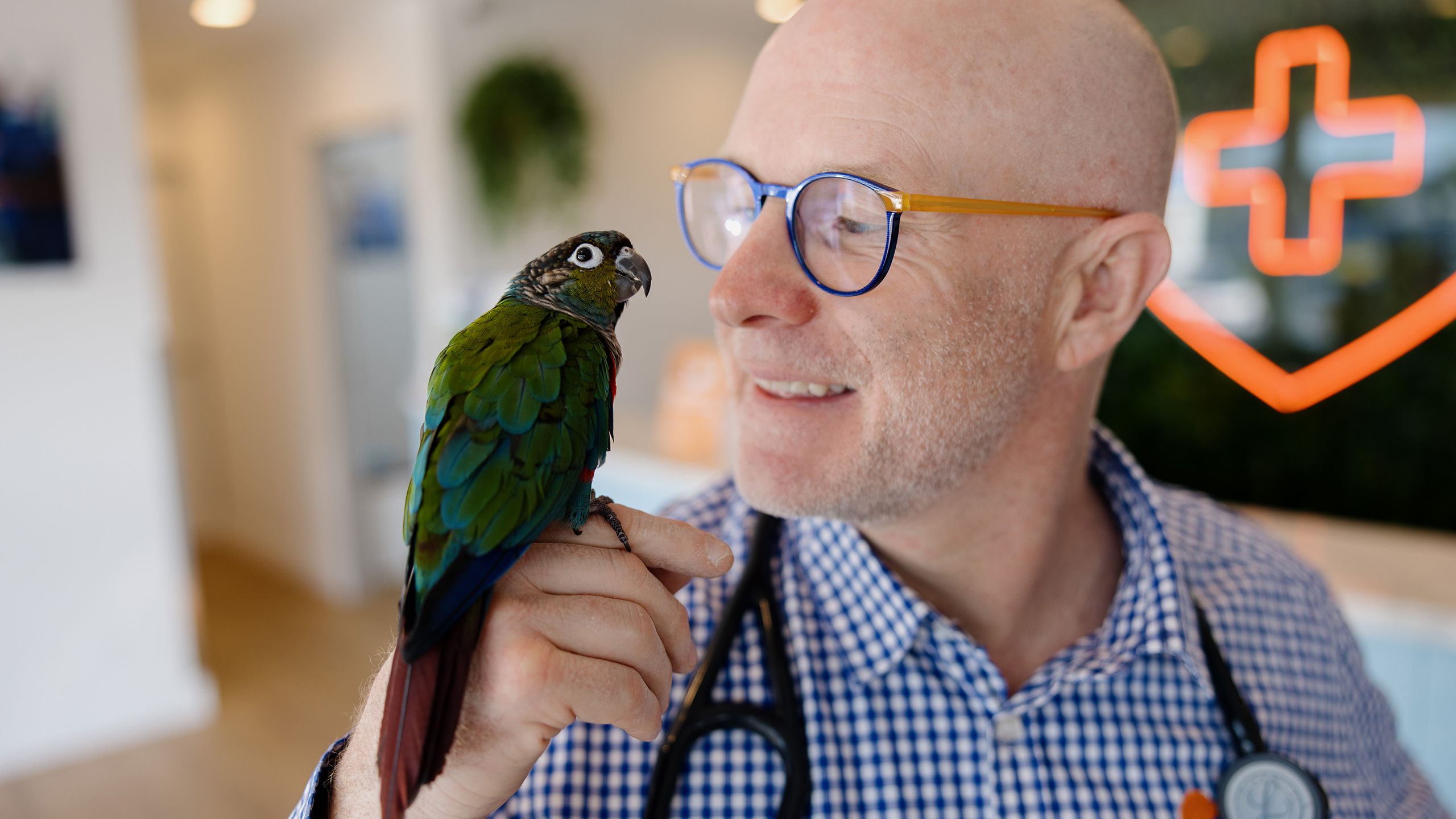 A profile, close up image of Dr Sam Jones with a parrot on his hand. Sam is looking at the parrot and smiling. 