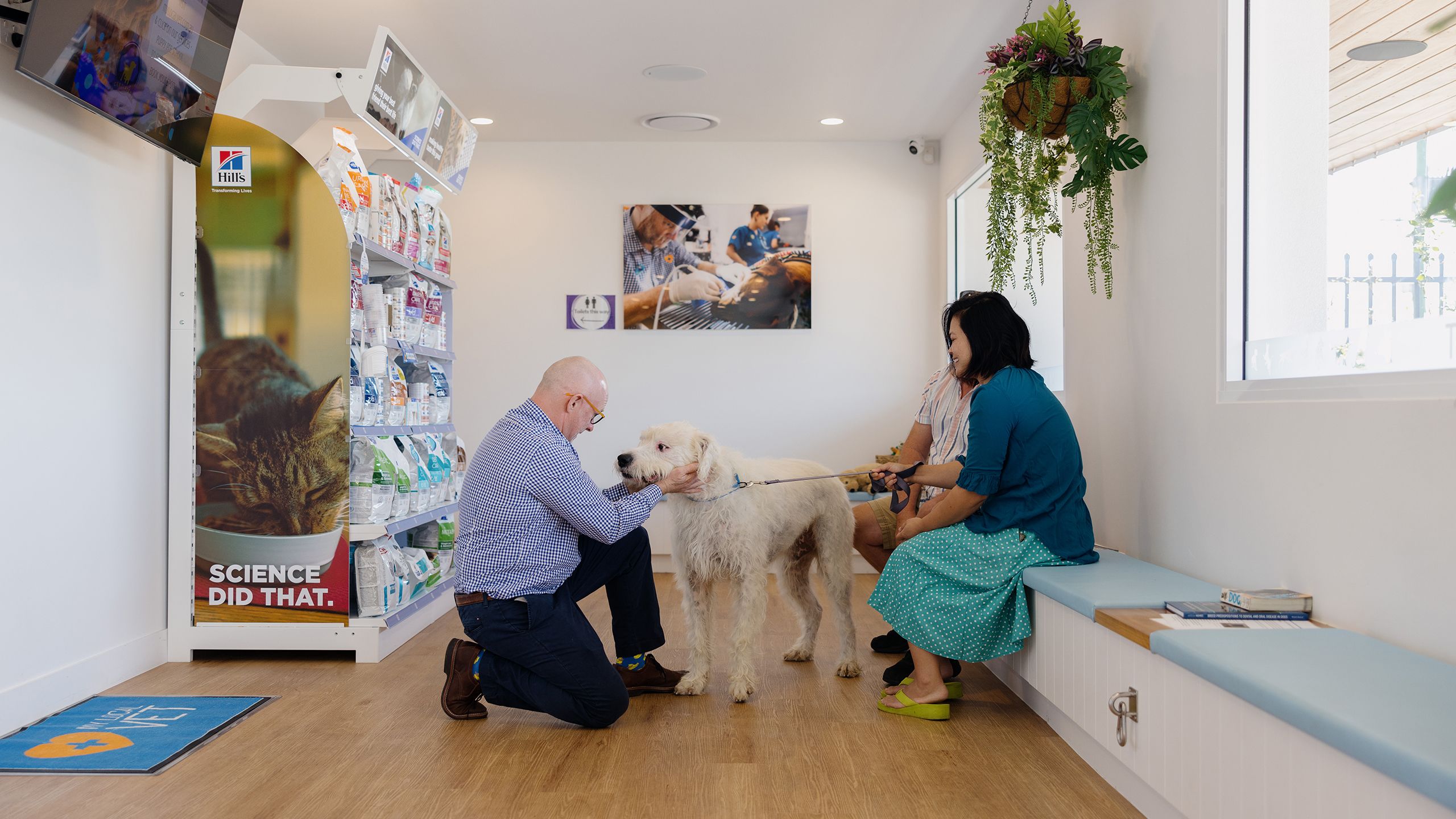 Dr Sam Jones greeting a large white poodle in the waiting room of his vet practice. There are two people sitting on the bench seat with the dog on a lead. The waiting room is calm and has cool, blue colours and a plant hanging from the ceiling.